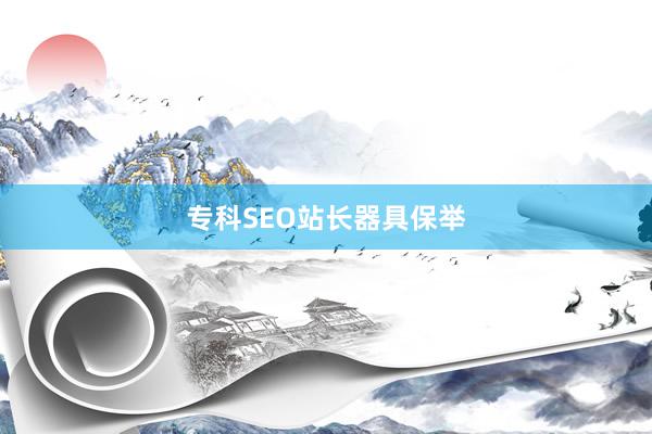 专科SEO站长器具保举
